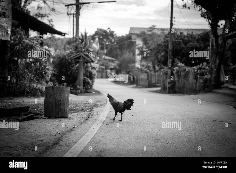 Descubre el Misterio de la Carretera de Pollo en línea Oficial de España, chicken road